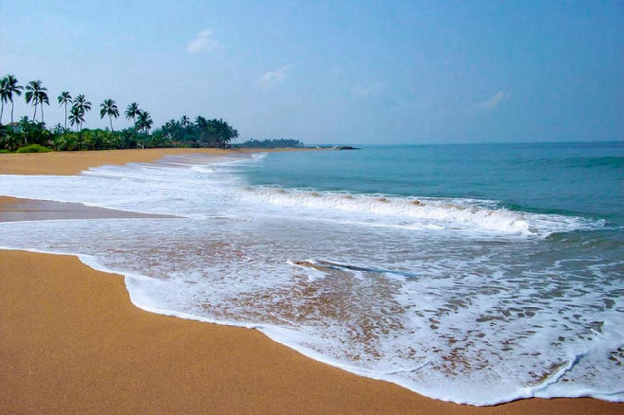 Bohemian Hotel - Negombo Exteriér fotografie